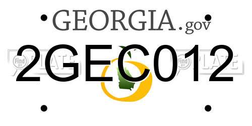 2GEC012 Georgia License Plate