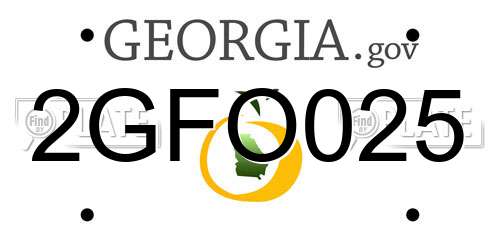 2GFO025 Georgia License Plate