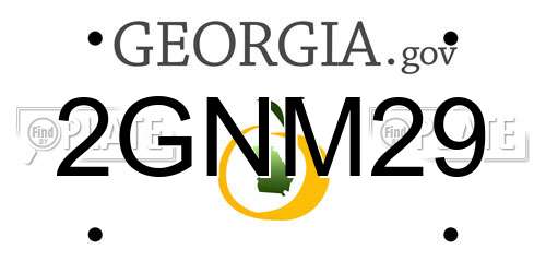 2GNM29 Georgia License Plate