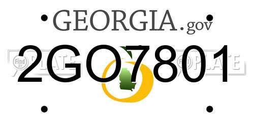 2GO7801 Georgia License Plate