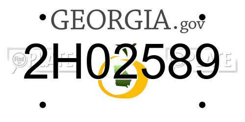 2H02589 Georgia License Plate