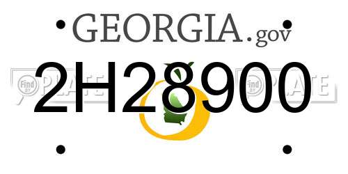 2H28900 Georgia License Plate