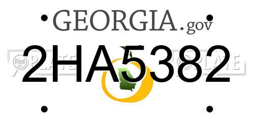 2HA5382 Georgia License Plate