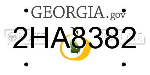 2HA8382 Georgia License Plate