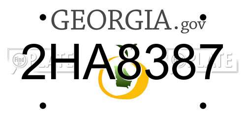 2HA8387 Georgia License Plate
