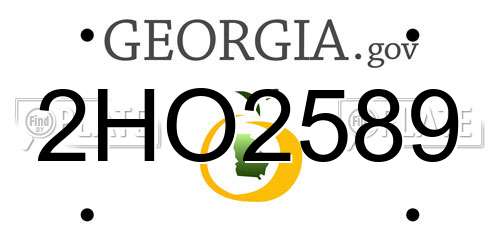 2HO2589 Georgia License Plate