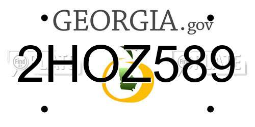 2HOZ589 Georgia License Plate