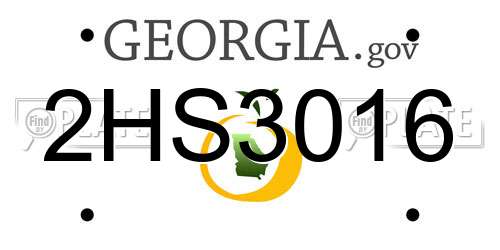 2HS3016 Georgia License Plate