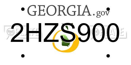 2HZS900 Georgia License Plate