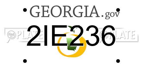 2IE236 Georgia License Plate