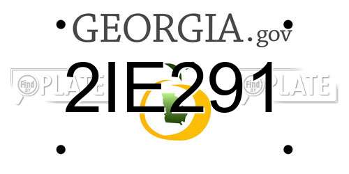 2IE291 Georgia License Plate