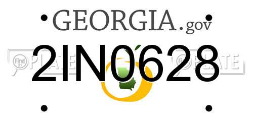 2IN0628 Georgia License Plate