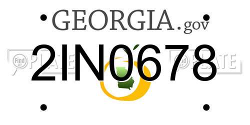 2IN0678 Georgia License Plate
