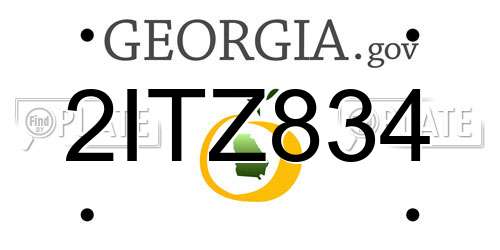 2ITZ834 Georgia License Plate