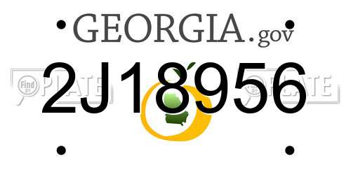 2J18956 Georgia License Plate