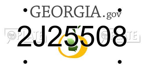 2J25508 Georgia License Plate