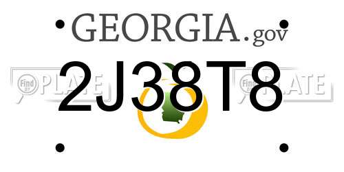 2J38T8 Georgia License Plate