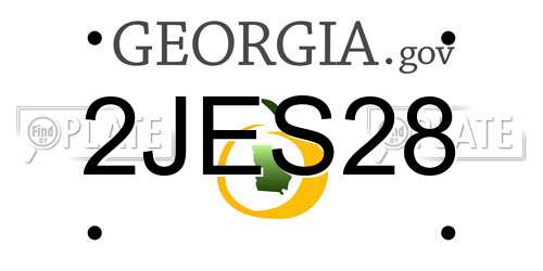 2JES28 Georgia License Plate