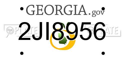 2JI8956 Georgia License Plate
