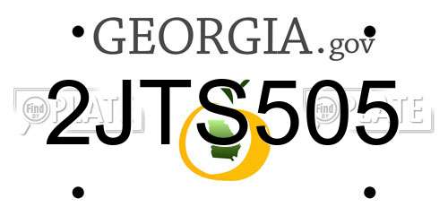 2JTS505 Georgia License Plate