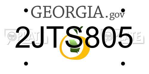2JTS805 Georgia License Plate