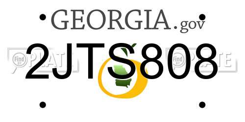 2JTS808 Georgia License Plate