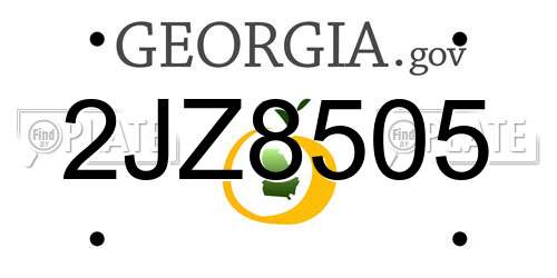 2JZ8505 Georgia License Plate