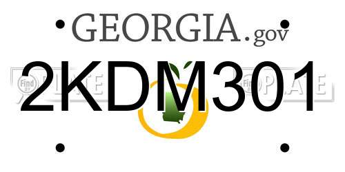 2KDM301 Georgia License Plate