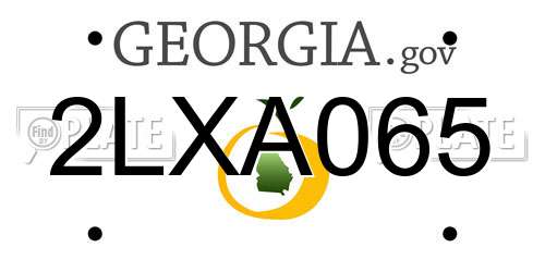 2LXA065 Georgia License Plate