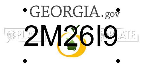 2M26I9 Georgia License Plate