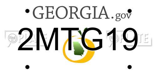 2MTG19 Georgia License Plate