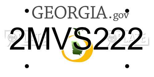 2MVS222 Georgia License Plate