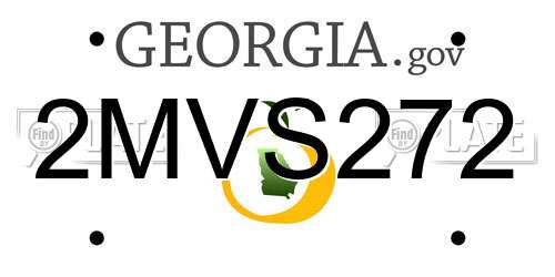 2MVS272 Georgia License Plate