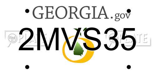 2MVS35 Georgia License Plate
