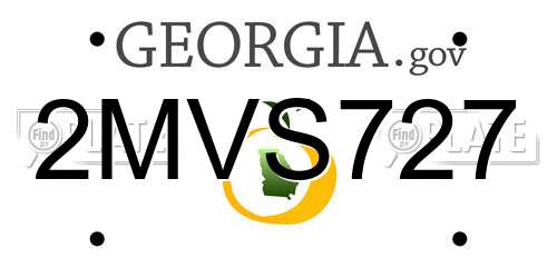 2MVS727 Georgia License Plate