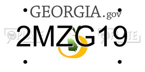 2MZG19 Georgia License Plate