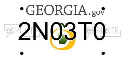 2N03T0 Georgia License Plate