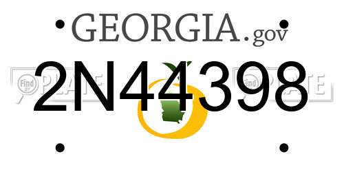 2N44398 Georgia License Plate