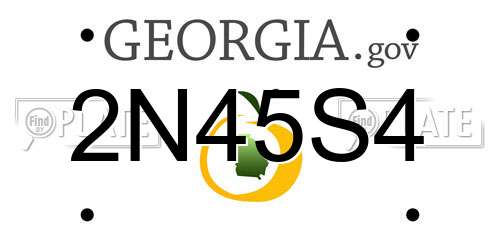 2N45S4 Georgia License Plate