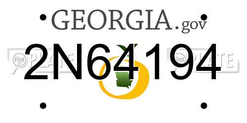 2N64194 Georgia License Plate