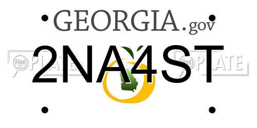 2NA4ST Georgia License Plate