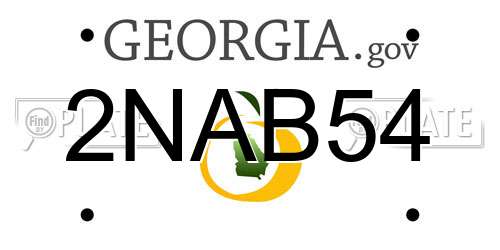 2NAB54 Georgia License Plate