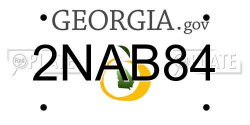 2NAB84 Georgia License Plate