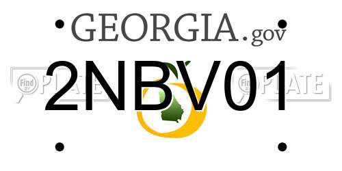 2NBV01 Georgia License Plate