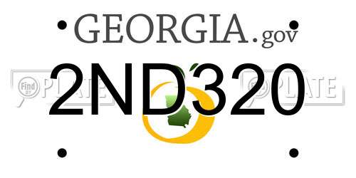 2ND320 Georgia License Plate