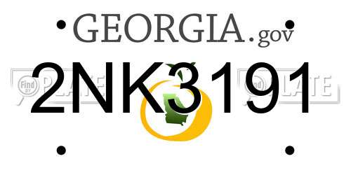 2NK3191 Georgia License Plate