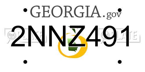 2NNZ491 Georgia License Plate
