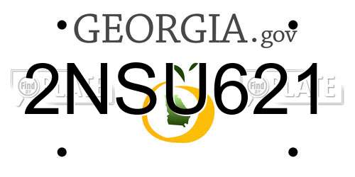 2NSU621 Georgia License Plate