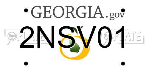 2NSV01 Georgia License Plate