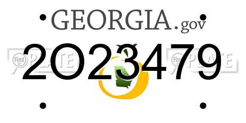 2O23479 Georgia License Plate